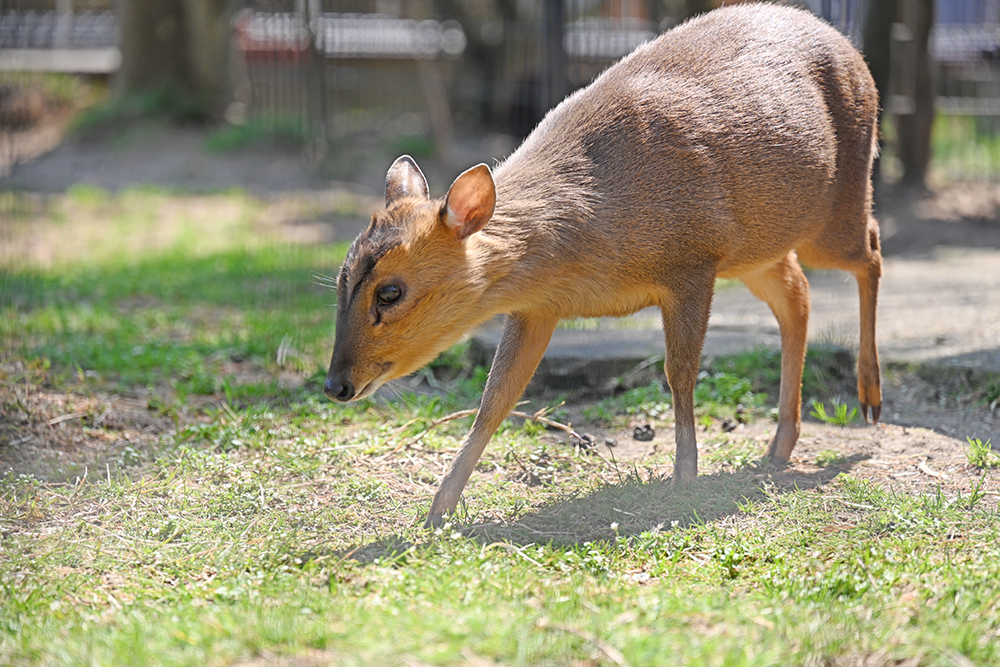 ★ナイトキョンフォトアドベンチャー開催（ご宿泊者様限定）