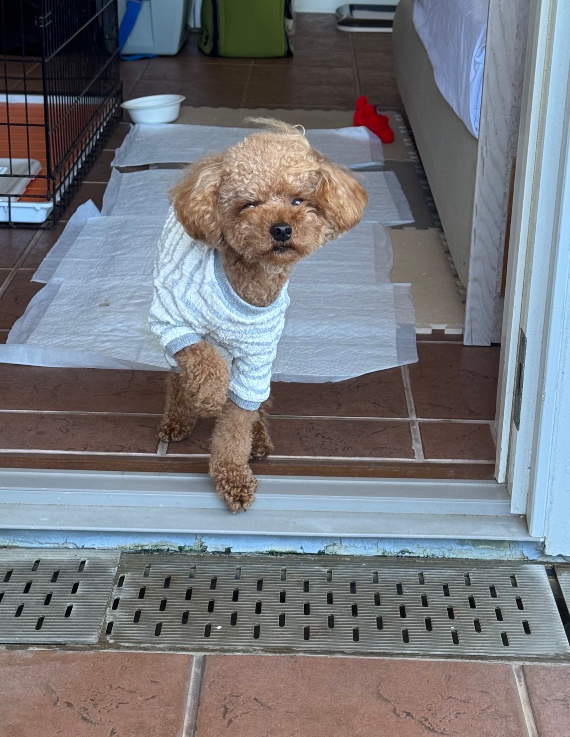 りくくん ♂ りくくん ♂