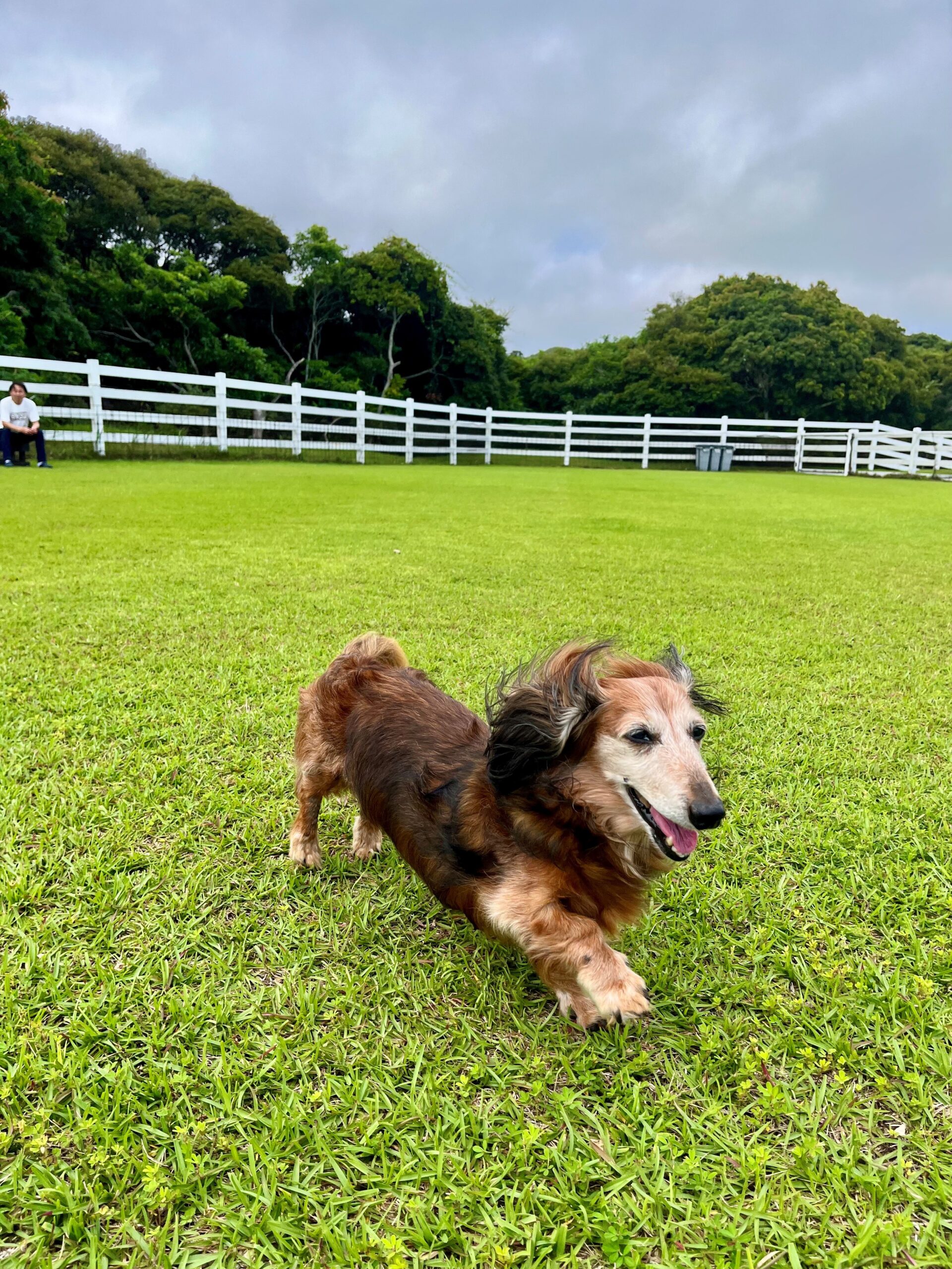 レッズくん♂ レッズくん♂