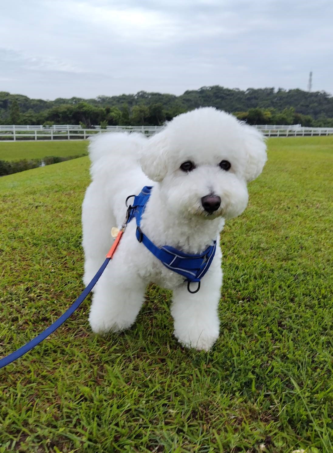 たろう丸くん　♂