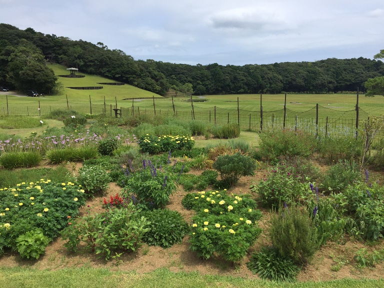 『簡単に作れて美味しい調味料！ハーブソルト&ブーケガルニ作り体験教室』