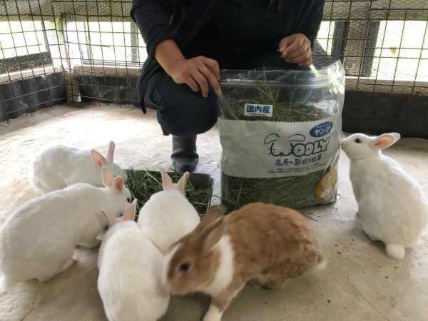 ～　ウサギさん用の干し草をいただきました！　～