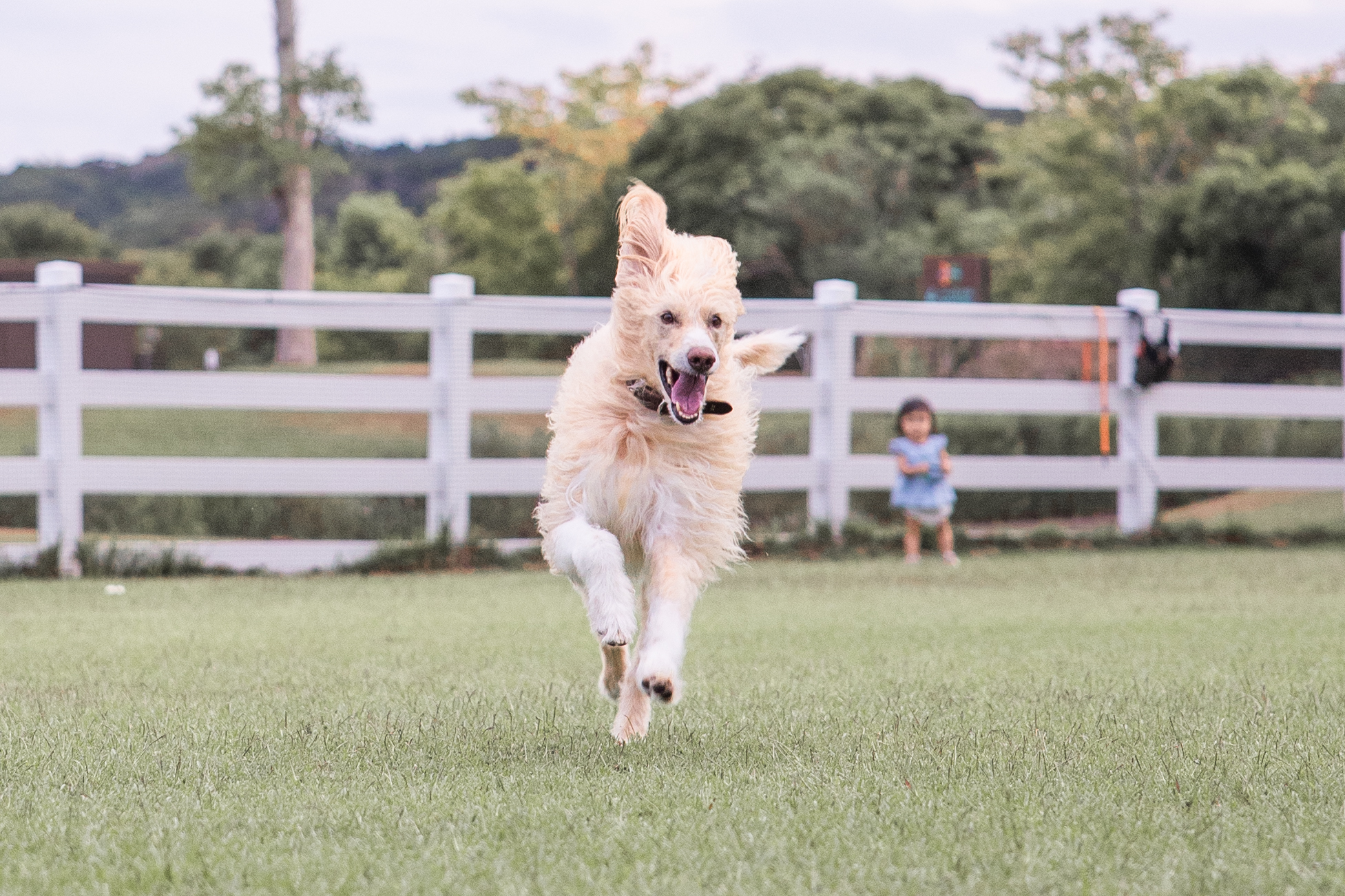バジルくん♂ バジルくん♂