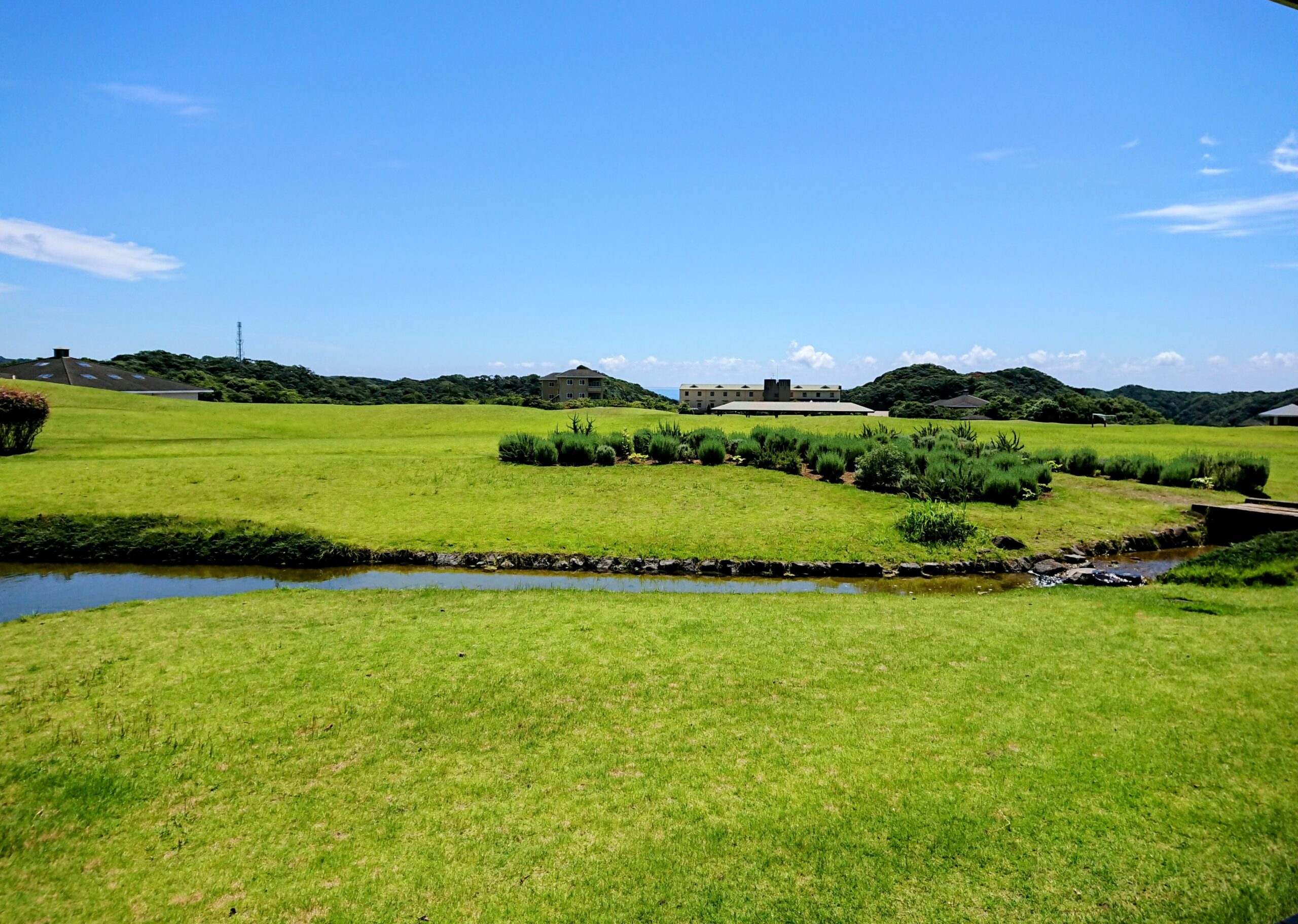 『ランチバイキング』開催