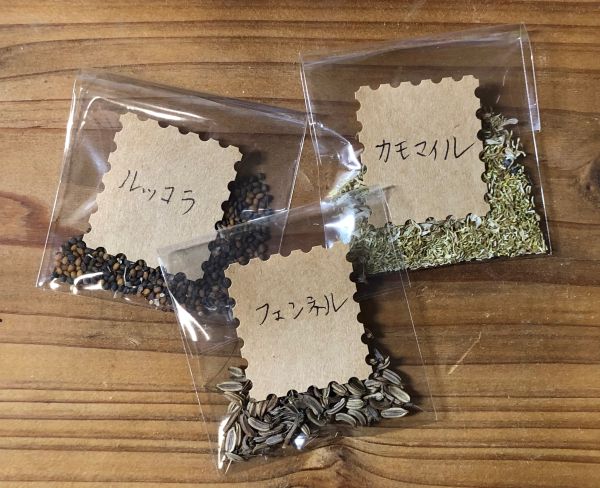 ～　ハーブの種　～