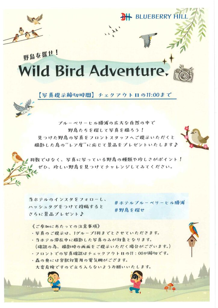野鳥を探せ！Wild Bird Adventure(ご宿泊者様限定) | ホテル