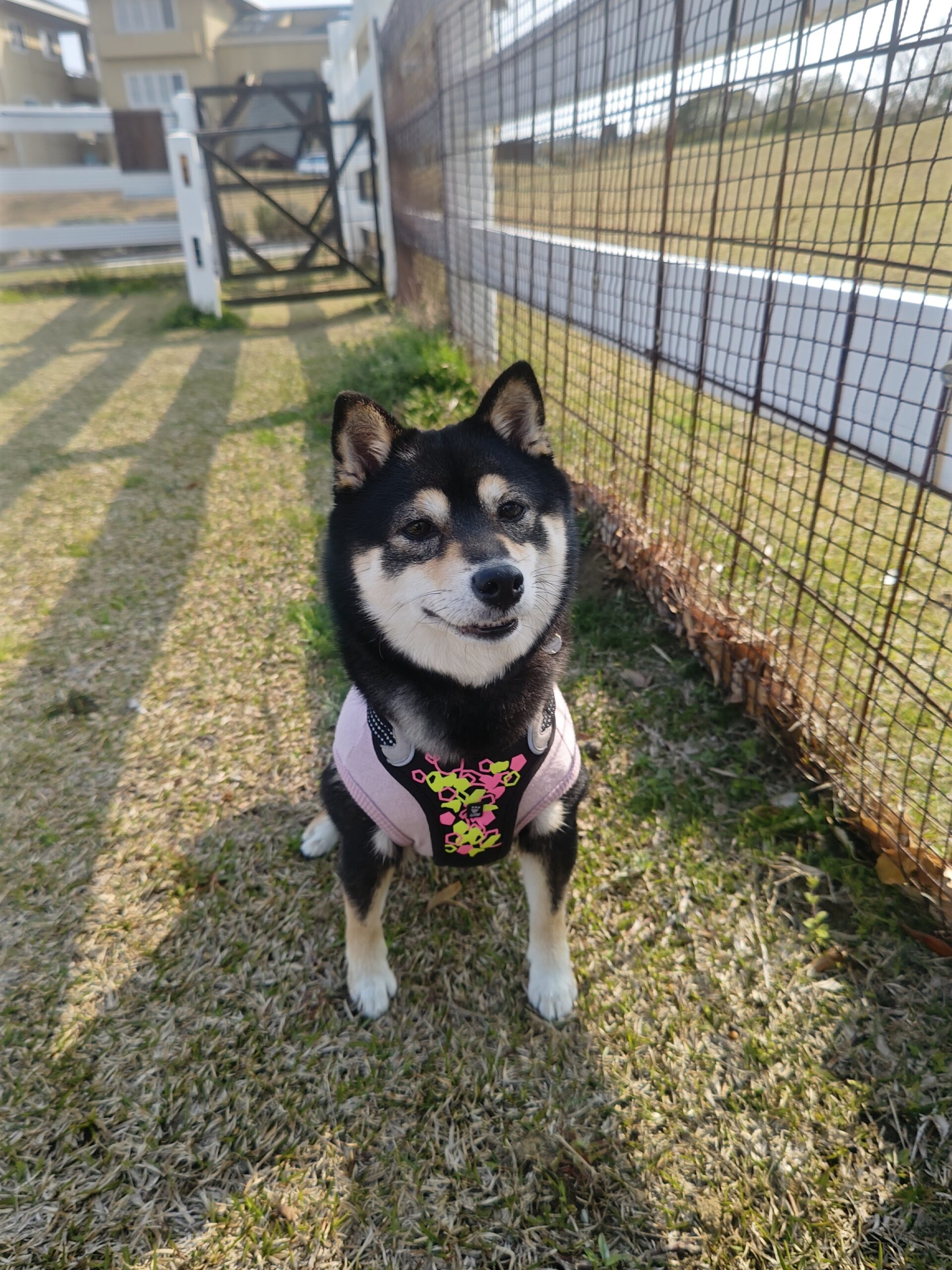 すずちゃん♀
