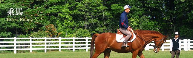 乗馬 Horse Riding