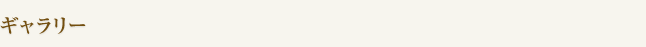 ギャラリー