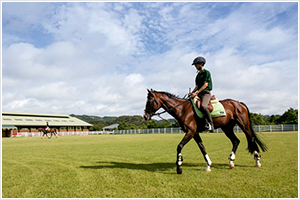 乗馬写真05